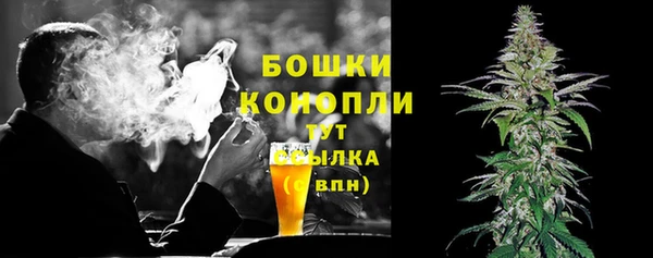 индика Богданович
