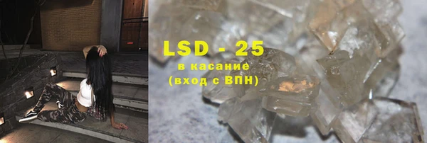 индика Богданович