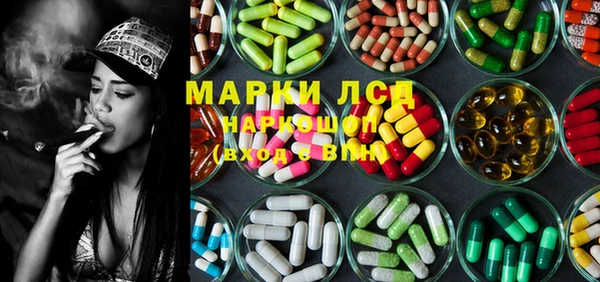 индика Богданович
