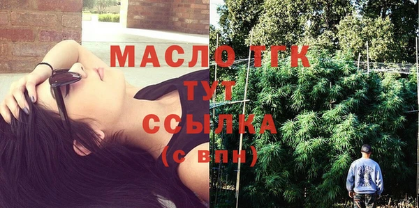 гашик Аркадак