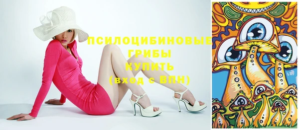 гашик Аркадак